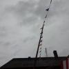 DSC03501