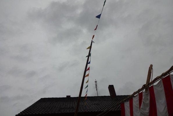 DSC03501