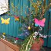 DSC03091