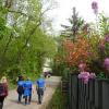 DSC02522