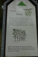 Wanderung bei Niederstetten 21.09.2025
